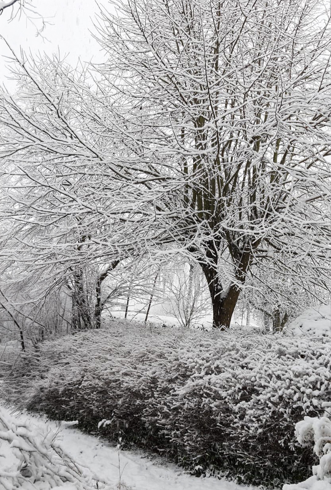 susanne-alester-kosmetik-schwanewede-24