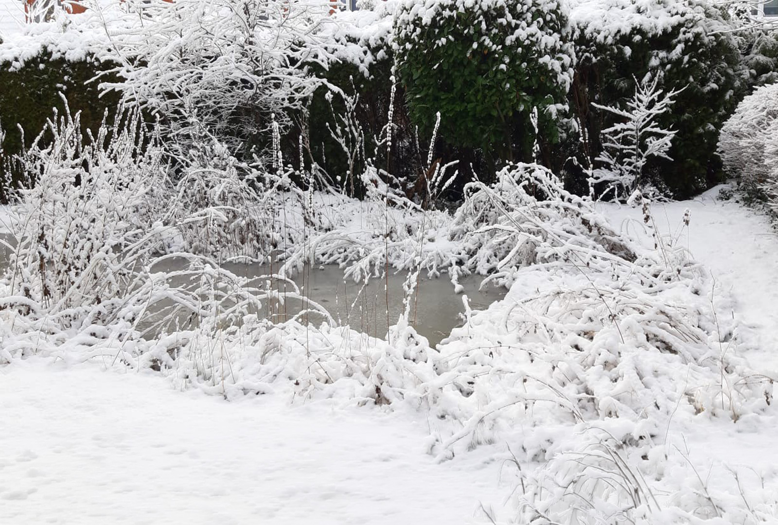 susanne-alester-kosmetik-schwanewede-26